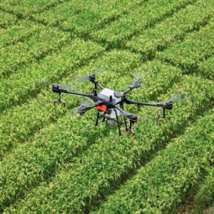 農薬散布以外にもドローンが大活躍!農業分野での産業用ドローンの今と未来